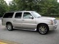 Quicksilver - Escalade ESV AWD Photo No. 5