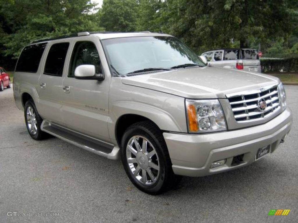 2006 Escalade ESV AWD - Quicksilver / Shale photo #6