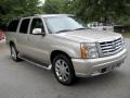 Quicksilver - Escalade ESV AWD Photo No. 6