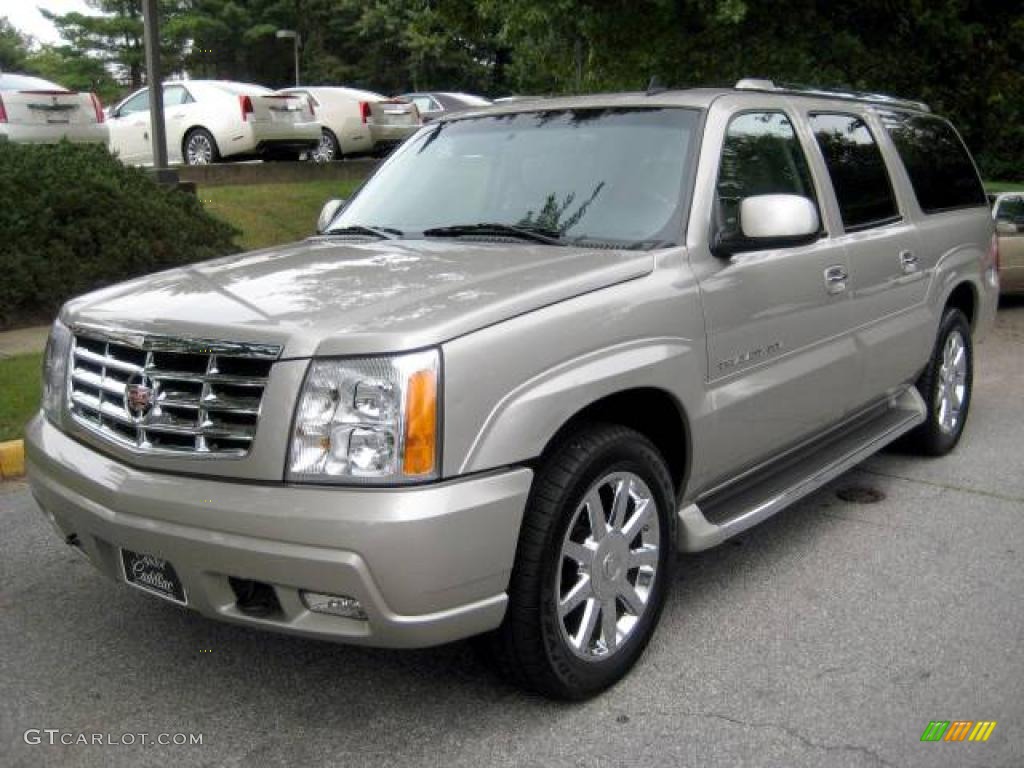 2006 Escalade ESV AWD - Quicksilver / Shale photo #8