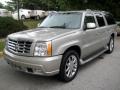 Quicksilver - Escalade ESV AWD Photo No. 8