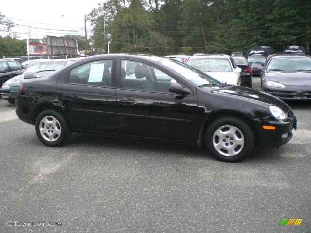 2002 Neon SXT - Black Clearcoat / Dark Slate Gray photo #4