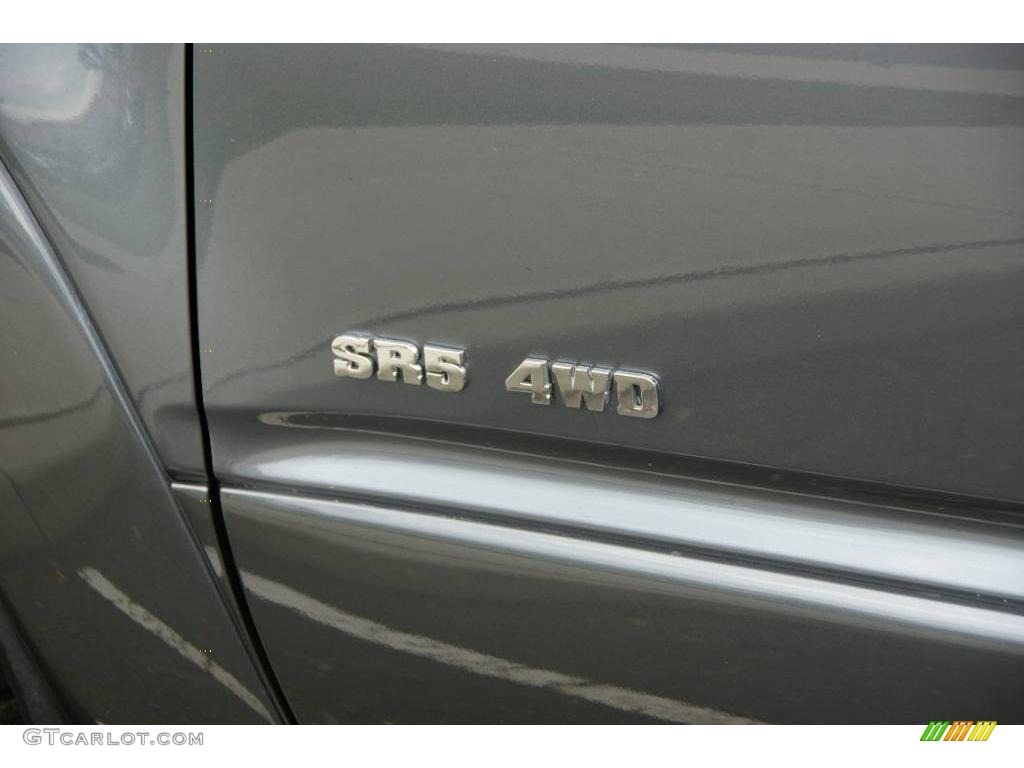 2004 4Runner SR5 4x4 - Galactic Gray Mica / Stone photo #10