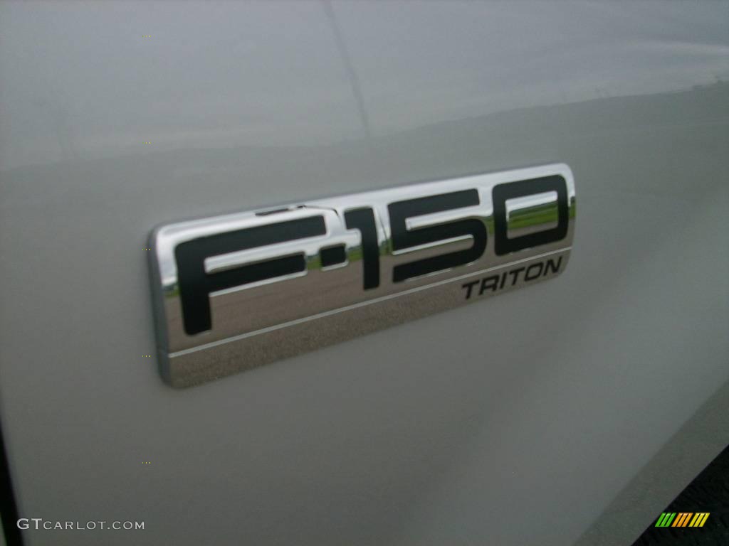2006 F150 STX Regular Cab 4x4 - Silver Metallic / Medium Flint photo #8