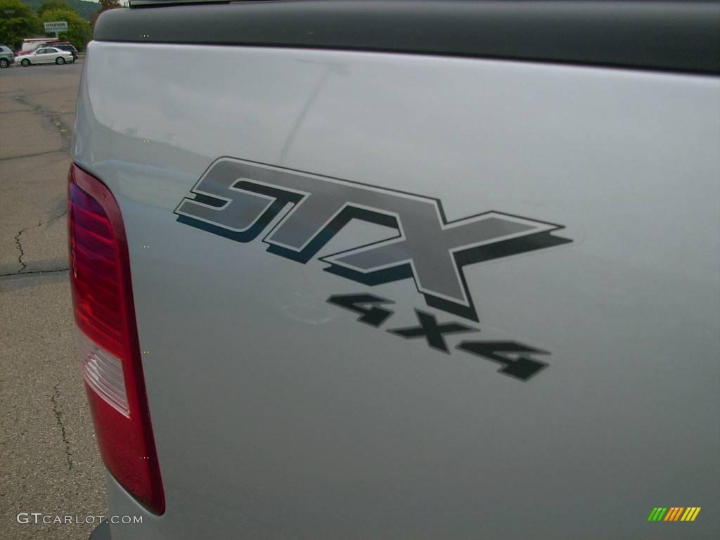2006 F150 STX Regular Cab 4x4 - Silver Metallic / Medium Flint photo #13