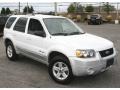 Oxford White - Escape Hybrid 4WD Photo No. 3