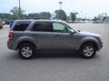 Tungsten Grey Metallic - Escape Hybrid Photo No. 4