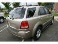 Gold Beige Metallic - Sorento EX 4WD Photo No. 4