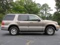 Mineral Grey Metallic - Mountaineer  Photo No. 13