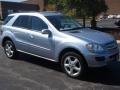 Alpine Rain Metallic - ML 350 4Matic Photo No. 4