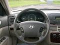 Ebony Black - Sonata GLS V6 Photo No. 23