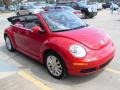 Salsa Red - New Beetle SE Convertible Photo No. 5