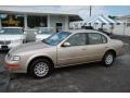 Pebble Beige Metallic - Maxima GXE Photo No. 2