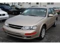 Pebble Beige Metallic - Maxima GXE Photo No. 3