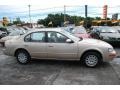 Pebble Beige Metallic - Maxima GXE Photo No. 5