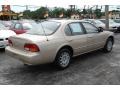 Pebble Beige Metallic - Maxima GXE Photo No. 6