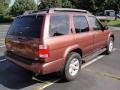 Burnt Copper Metallic - Pathfinder SE 4x4 Photo No. 5