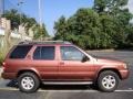 Burnt Copper Metallic - Pathfinder SE 4x4 Photo No. 6