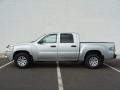 Alloy Silver - Raider LS Double Cab 4x4 Photo No. 3
