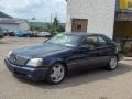 Royal Indigo Metallic - S 600 Sedan Photo No. 10