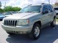 Silverstone Metallic - Grand Cherokee Limited Photo No. 8