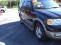 Black Clearcoat - Expedition Eddie Bauer Photo No. 2