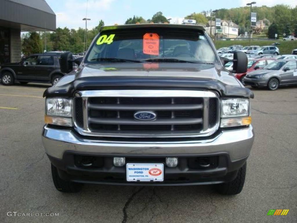 2004 F250 Super Duty XLT Crew Cab 4x4 - Arizona Beige Metallic / Medium Parchment photo #11