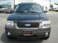 2007 Black Ford Escape XLT  photo #9