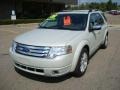 2008 Light Sage Metallic Ford Taurus X Limited AWD  photo #8