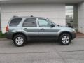 2005 Titanium Green Metallic Ford Escape XLT V6 4WD  photo #2