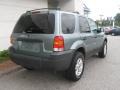2005 Titanium Green Metallic Ford Escape XLT V6 4WD  photo #3