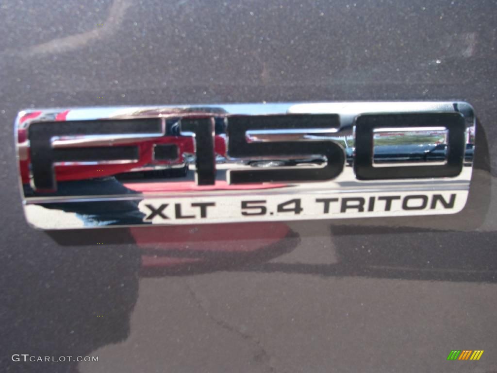 2006 F150 XLT SuperCrew 4x4 - Dark Shadow Grey Metallic / Medium/Dark Flint photo #22