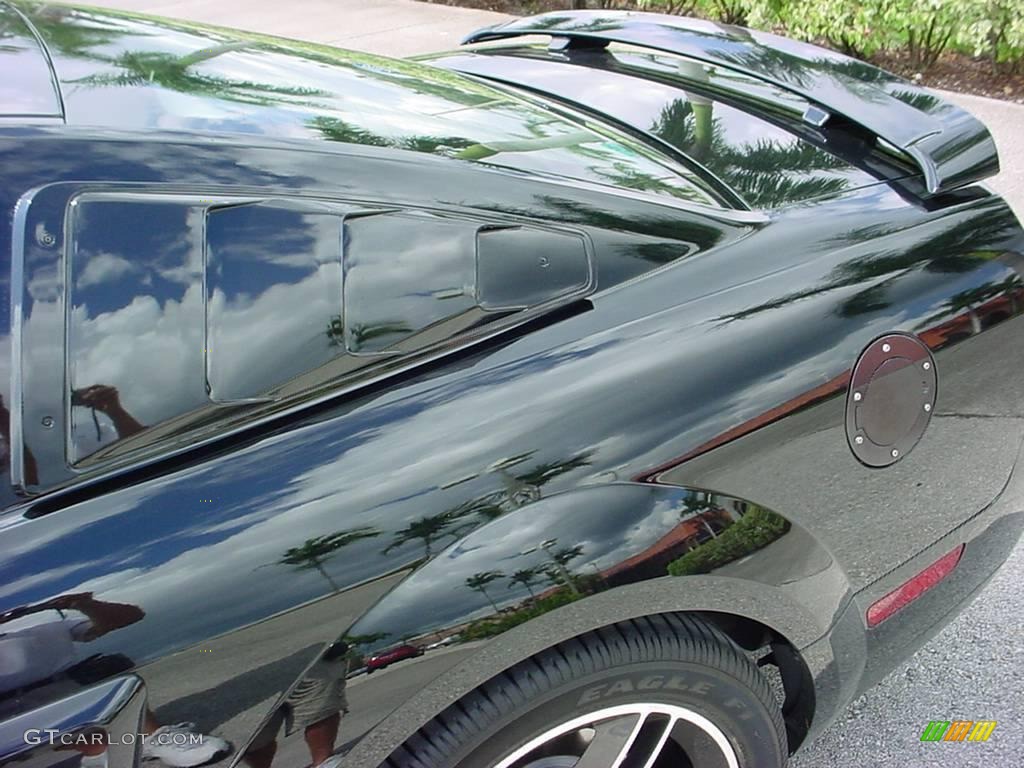 2007 Mustang GT Premium Coupe - Black / Black/Dove Accent photo #18