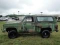 Camouflage - Blazer 4x4 Photo No. 2