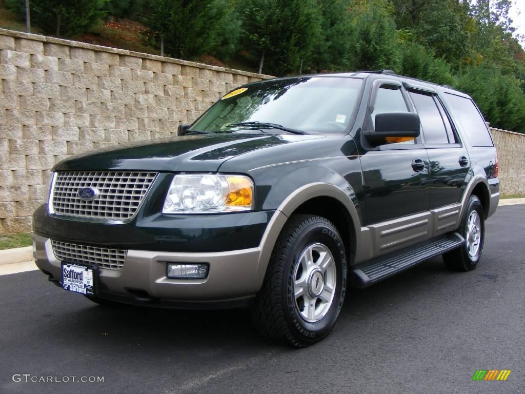 2003 Expedition Eddie Bauer 4x4 - Aspen Green Metallic / Medium Parchment photo #1