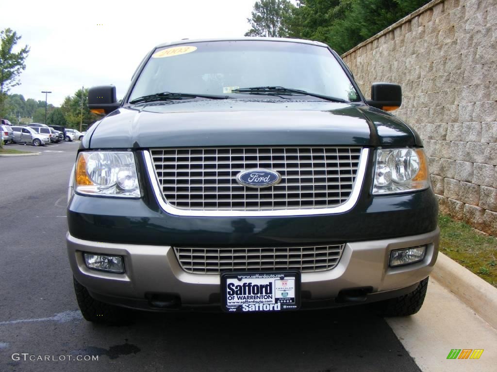 2003 Expedition Eddie Bauer 4x4 - Aspen Green Metallic / Medium Parchment photo #2