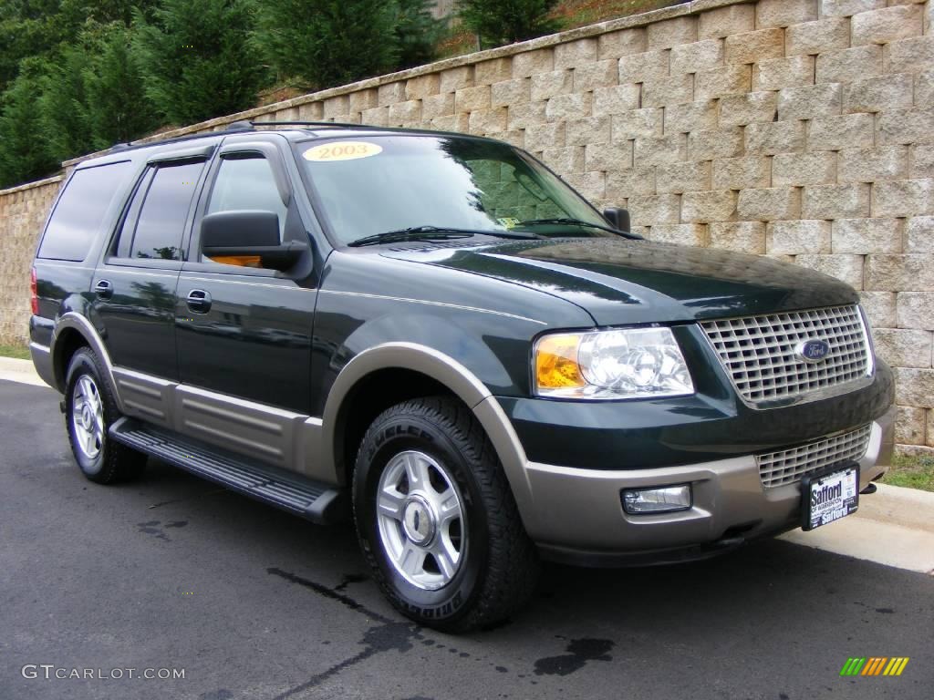 2003 Expedition Eddie Bauer 4x4 - Aspen Green Metallic / Medium Parchment photo #3