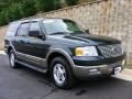 2003 Aspen Green Metallic Ford Expedition Eddie Bauer 4x4  photo #3