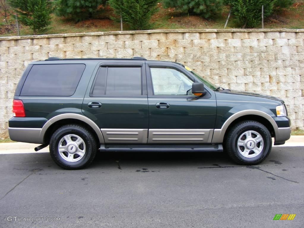 2003 Expedition Eddie Bauer 4x4 - Aspen Green Metallic / Medium Parchment photo #4