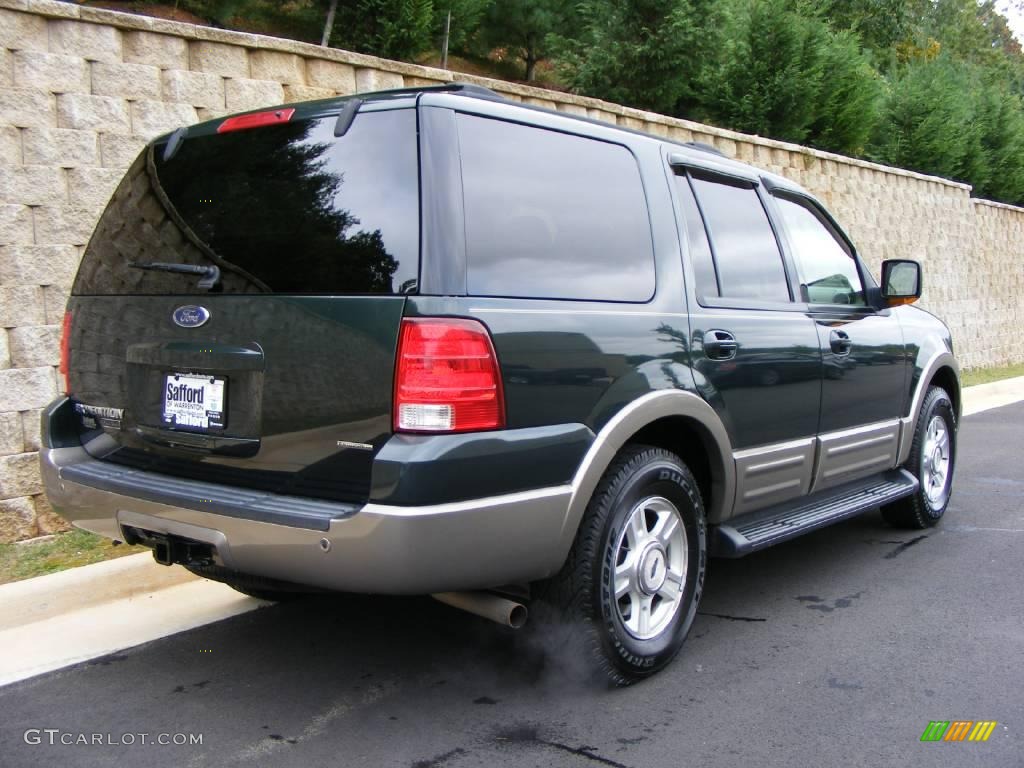 2003 Expedition Eddie Bauer 4x4 - Aspen Green Metallic / Medium Parchment photo #5
