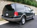 2003 Aspen Green Metallic Ford Expedition Eddie Bauer 4x4  photo #5