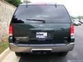 2003 Aspen Green Metallic Ford Expedition Eddie Bauer 4x4  photo #6