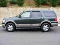 2003 Aspen Green Metallic Ford Expedition Eddie Bauer 4x4  photo #8