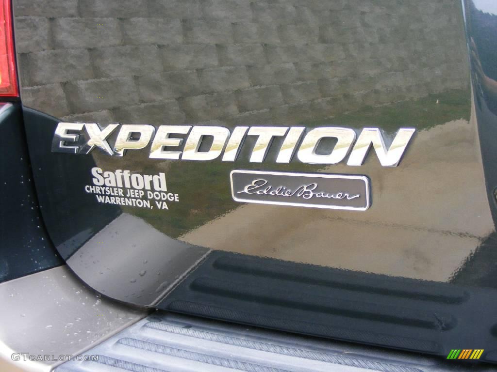 2003 Expedition Eddie Bauer 4x4 - Aspen Green Metallic / Medium Parchment photo #47