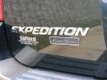 2003 Aspen Green Metallic Ford Expedition Eddie Bauer 4x4  photo #47