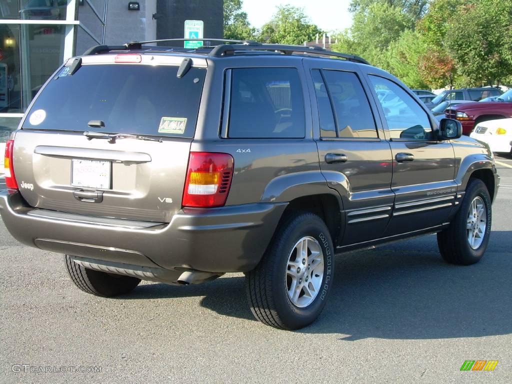 1999 Grand Cherokee Limited 4x4 - Taupe Frost Metallic / Taupe photo #8