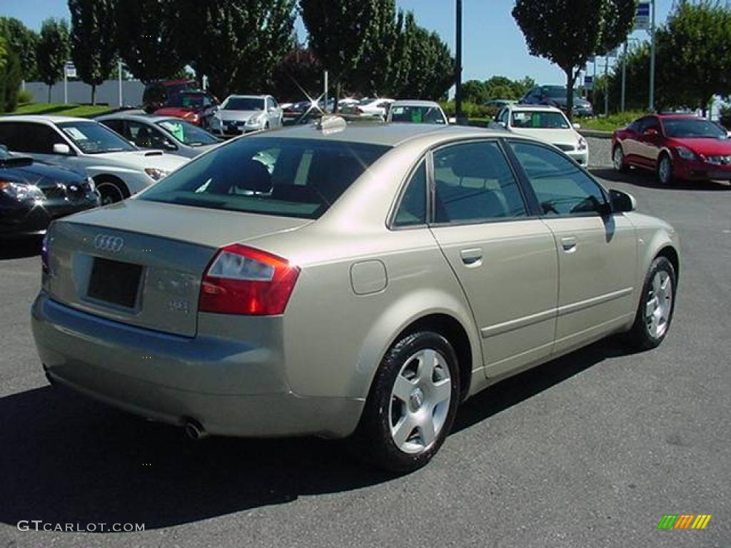 2004 A4 1.8T quattro Sedan - Champagne Metallic / Ebony photo #6