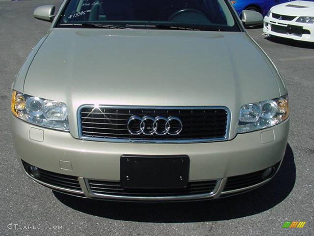 2004 A4 1.8T quattro Sedan - Champagne Metallic / Ebony photo #8