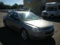 Golden Pewter Metallic - Malibu LS Sedan Photo No. 11