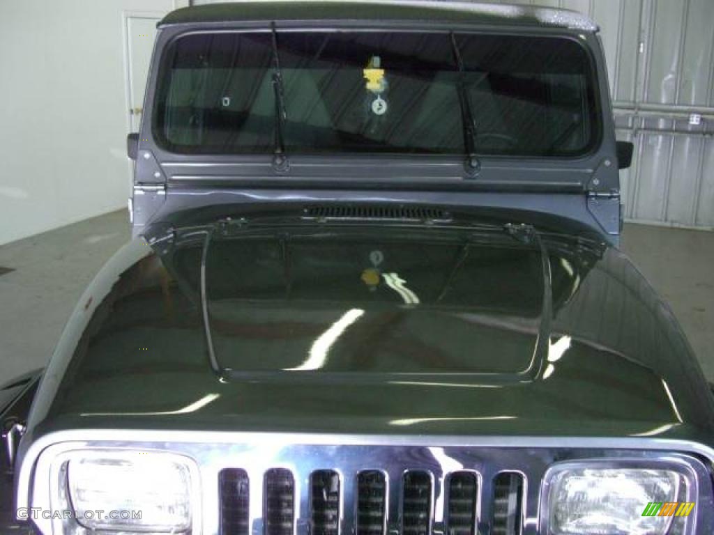 1990 Wrangler Laredo 4x4 - Charcoal Gray Metallic / Gray photo #9
